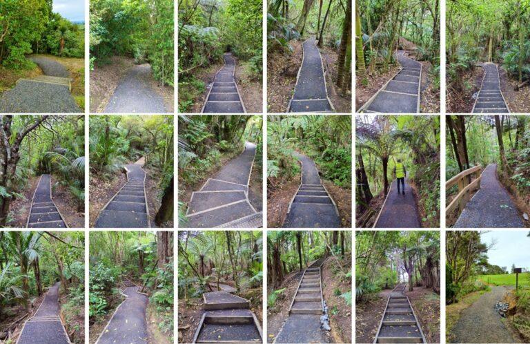 Point View Track reopens in time for summer