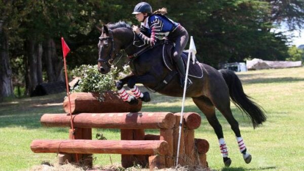 Whitford Pony Club hosts 2 Day Event