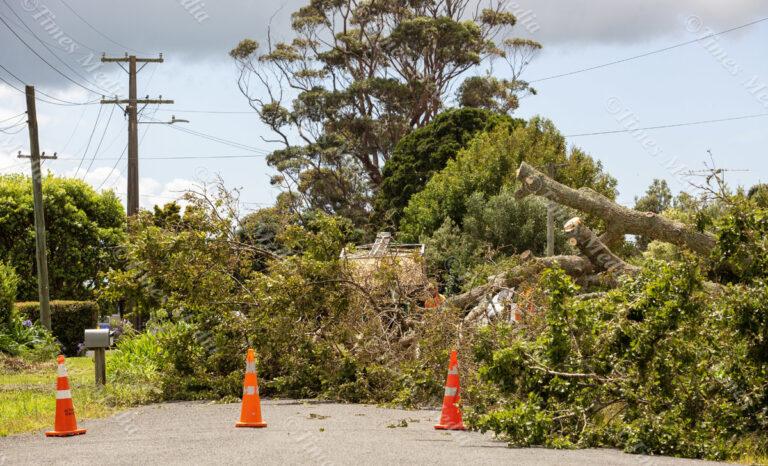 After the floods …