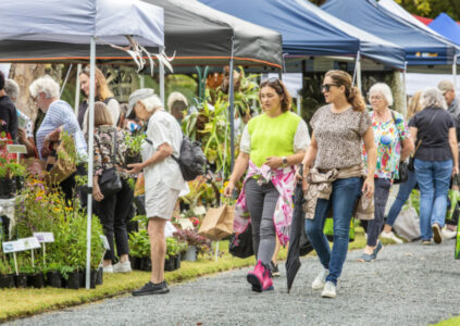 Blooming marvellous – crowds flock to Ayrlies plant fair