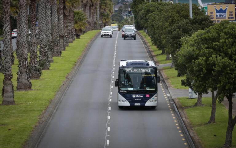 Trees set for the chop to make way for transport project