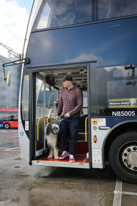 Pawsitive news – large dogs now welcome on buses