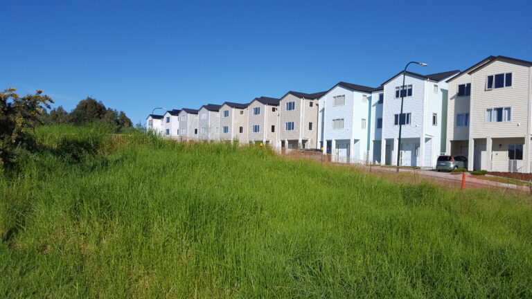 June sees some normality return to Auckland property market 