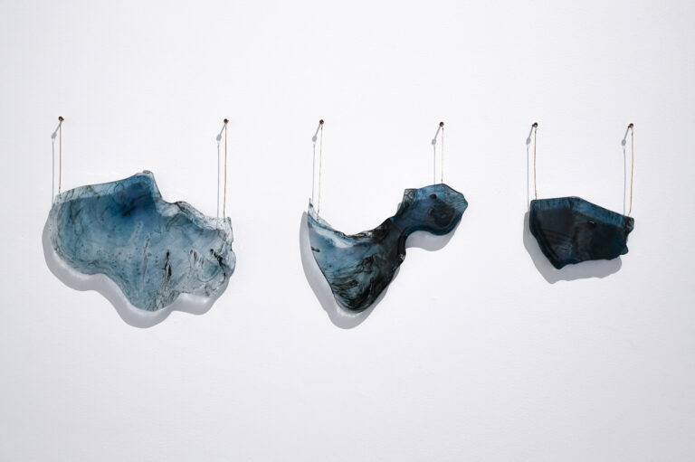 Bate’s work wins at Estuary Art and Ecology Awards