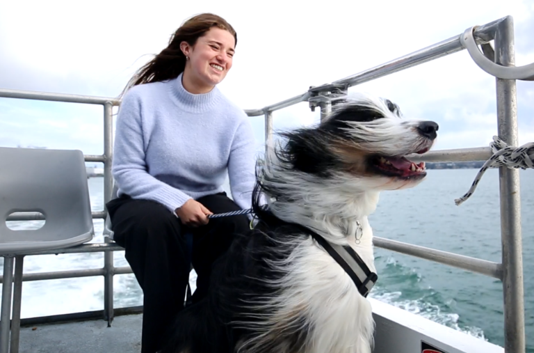 Household pets allowed on Auckland’s buses, trains, ferries