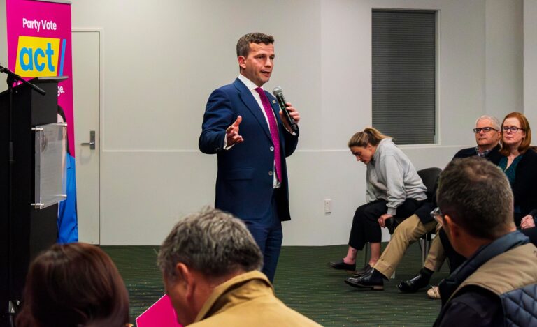 Seymour lashes Labour on crime, spending