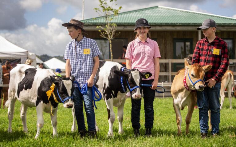 Country comes to town for Clevedon A&P Show