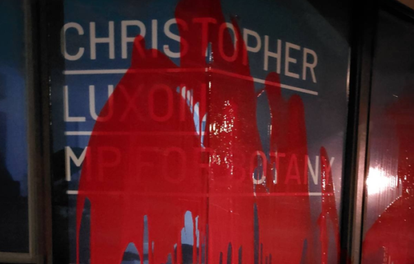 Woman charged over vandalism of MPs’ offices