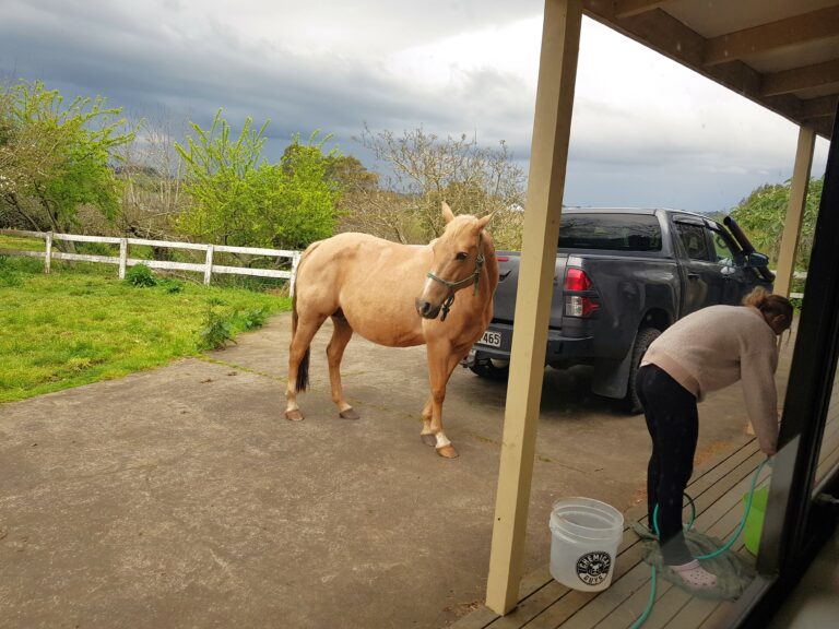 Are you prepared for a possible drought this summer?
