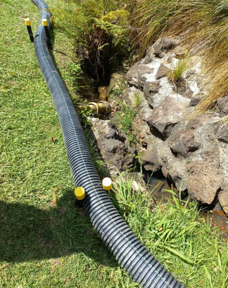 Recovery team working to protect beach following ‘black flag’