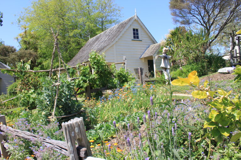 First official East Auckland Eco Day this Sunday