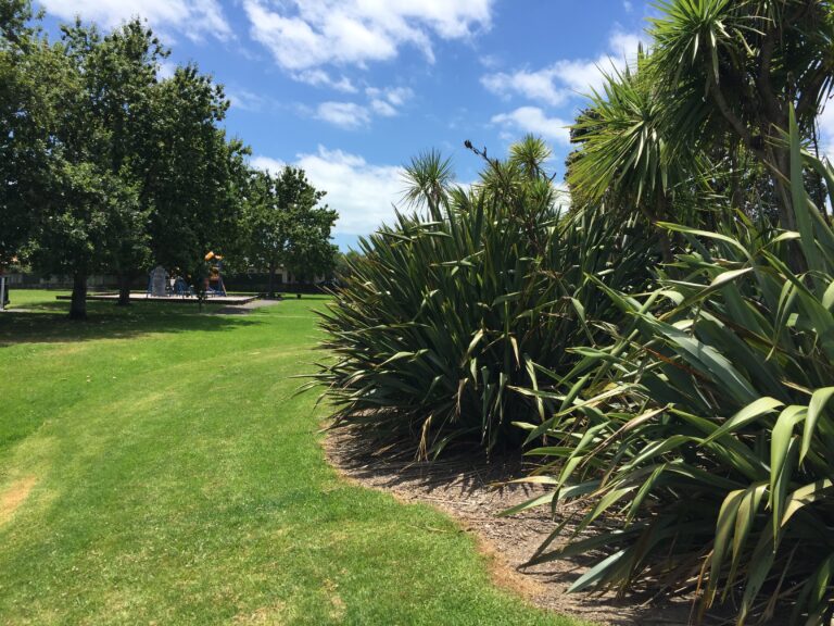 Contractor seen defecating in bushes near playground