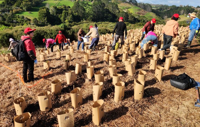 Mangemangeroa Reserve tree-planters get stuck in