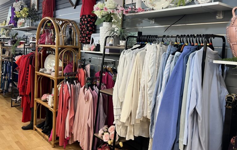 Embracing sustainable style on a budget