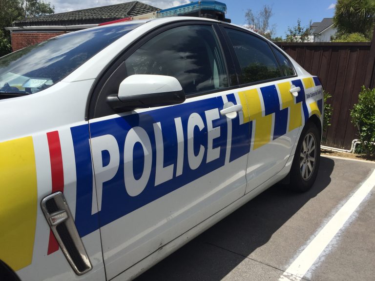 Teenagers busted over grocery store break-in