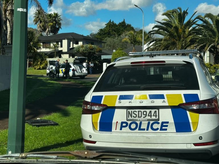 UPDATED – Armed police in east Auckland street