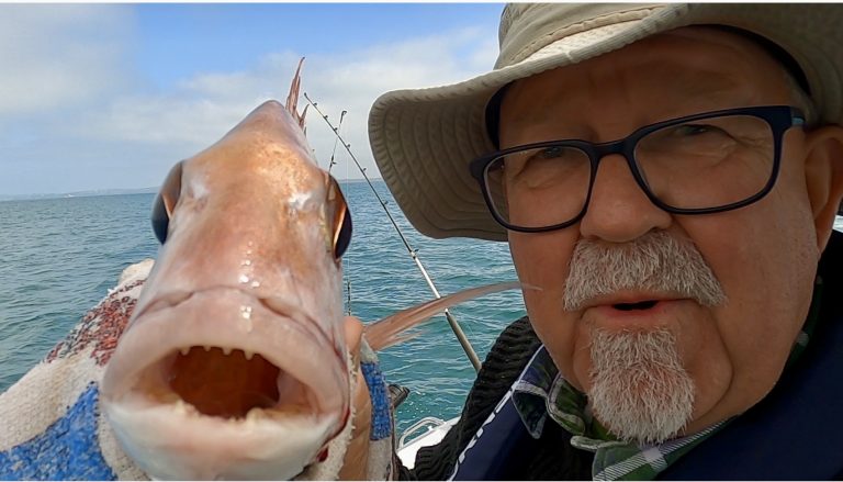Decent snapper put up fight, but lost