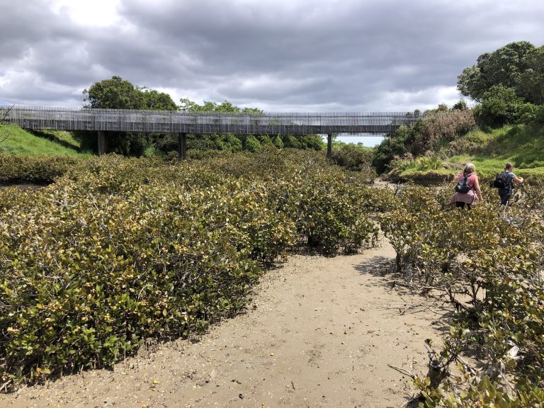 Reserve features seabird sanctuary