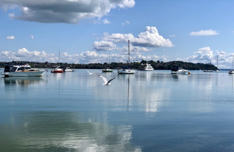 East Auckland’s stunning coastal walks