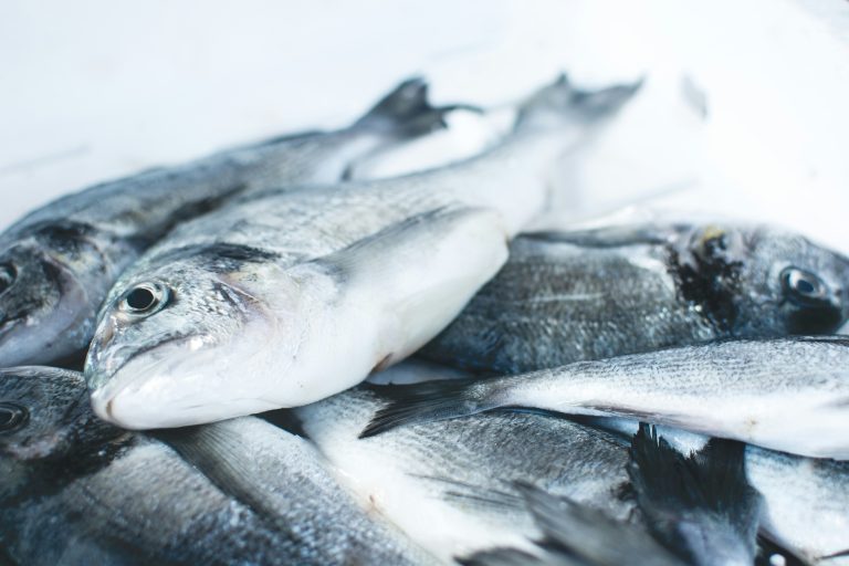 Pupils warn of harm caused by overfishing