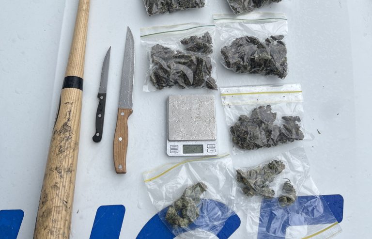 Police find drugs, weapons in man’s vehicle
