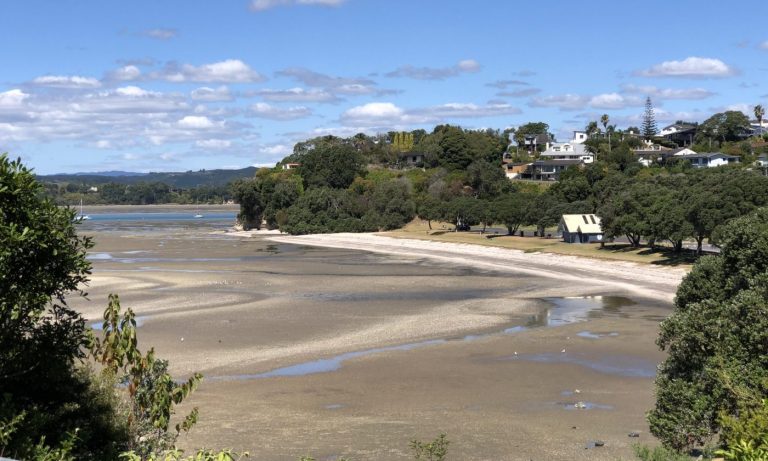 Coastline walk from Howick Beach to Shelly Park Beach