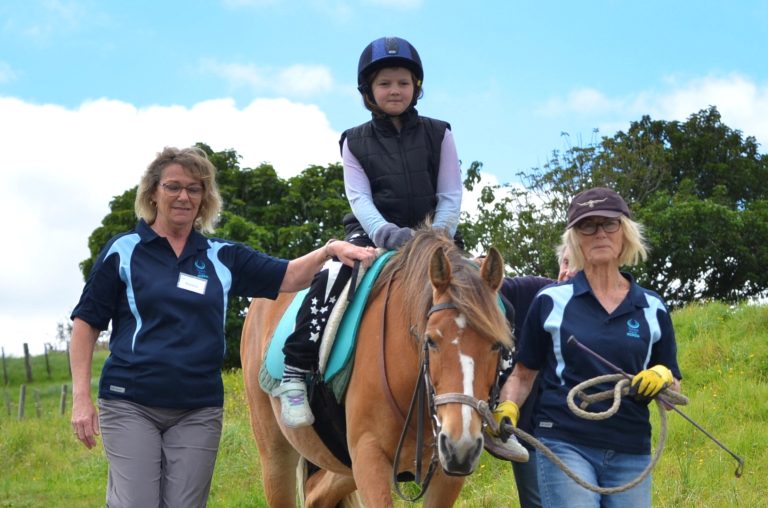 Sculpture park hosting Tōtara Park Riding for the Disabled fundraiser