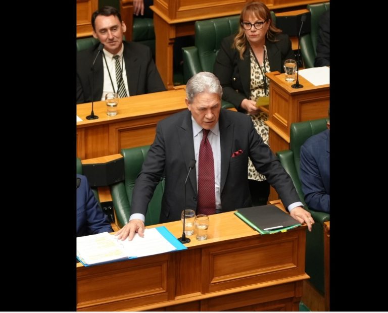 Winston Peters lashes Green Party, Benjamin Doyle, again