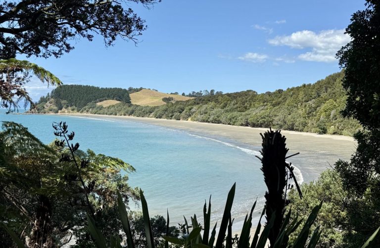Walks: Tawhitokino Beach – the hidden gem