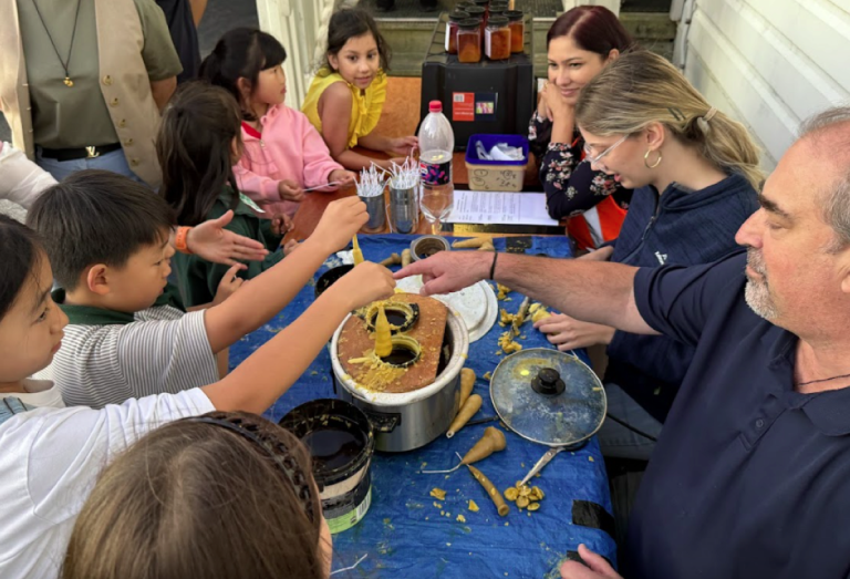 Twilight Market – A wonderful community event!