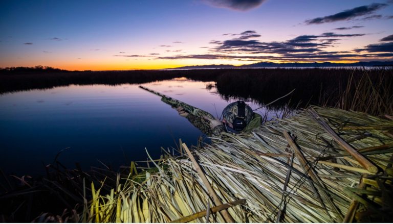 Hunters set for game bird season opening weekend