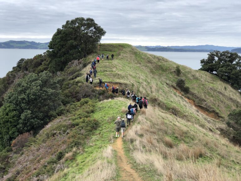 Walking clubs striding side-by-side
