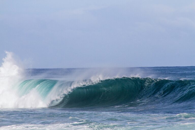 Tsunami advisory emergency alert received in east Auckland