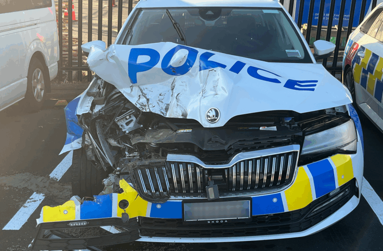 Man arrested after ramming police car