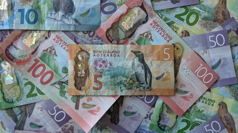 NZ First introduces Bill to protect ability to use cash
