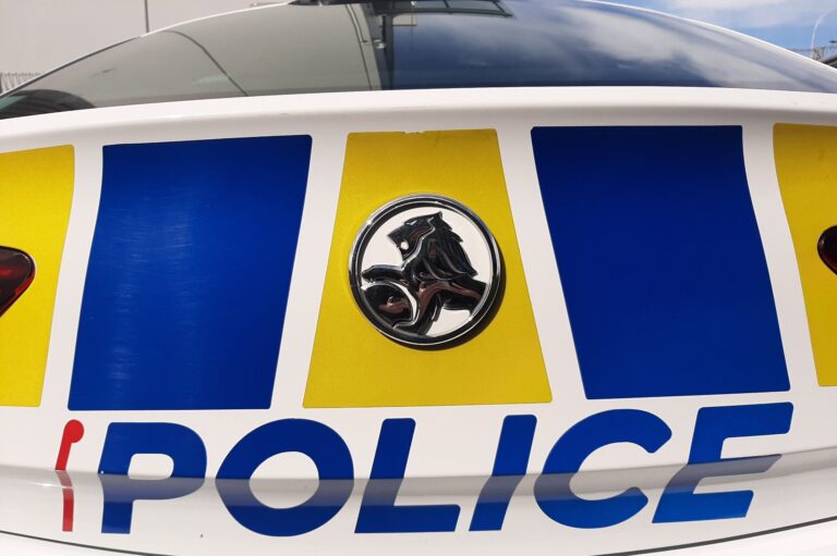 Police pursue armed men after east Auckland robbery