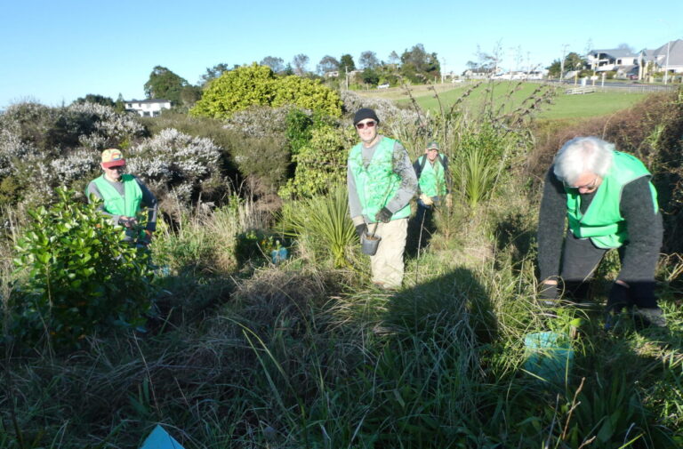 Beloved greenspace offers 5km of tracks to explore