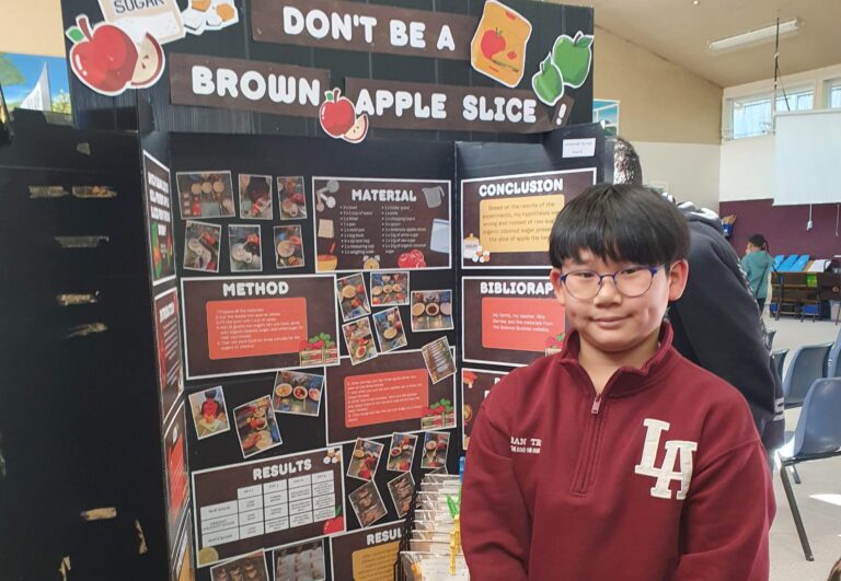 East Auckland pupils get creative for their Science Fair
