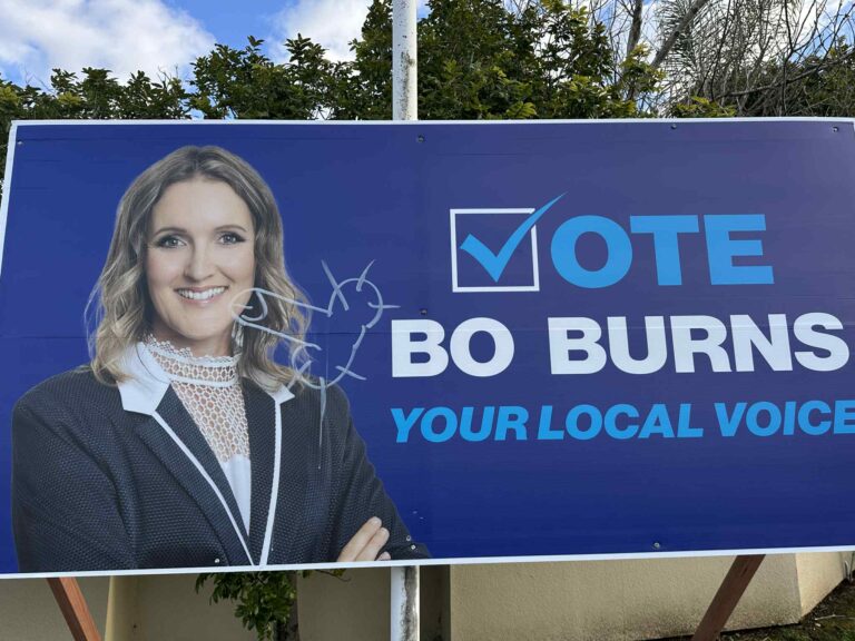 “Don’t be a sideways cactus” – candidate’s election sign vandalised