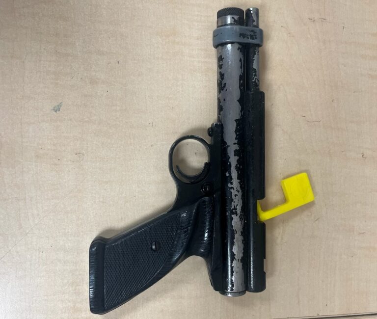 Imitation firearm and cannabis found after foot pursuit