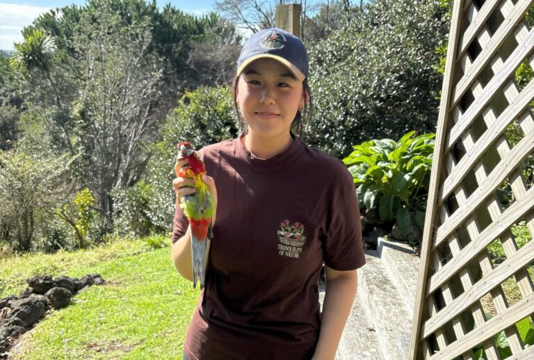 Young bird lover spreading her wings