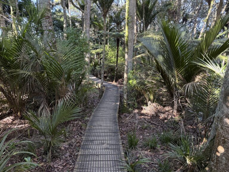 Inviting walks through Clevedon’s scenery