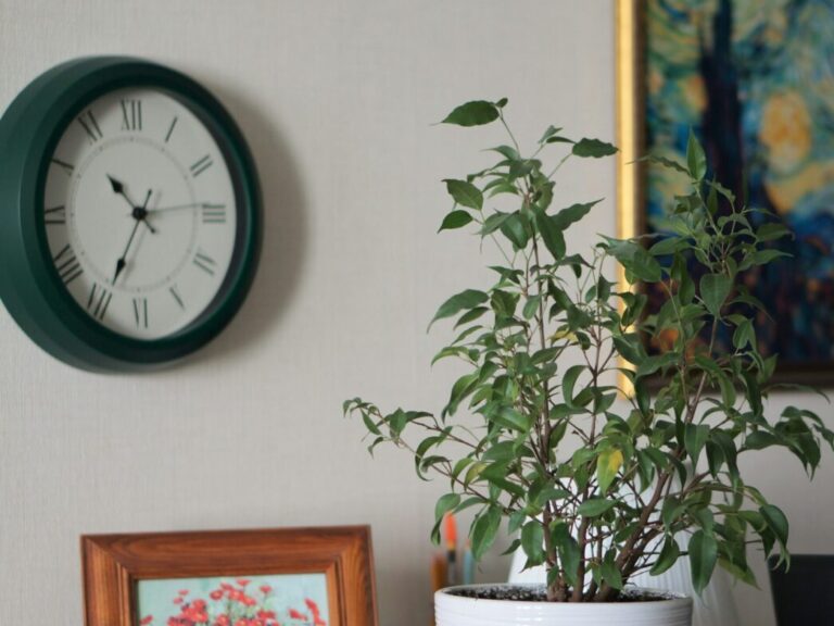 Daylight Saving begins as clocks spring forward