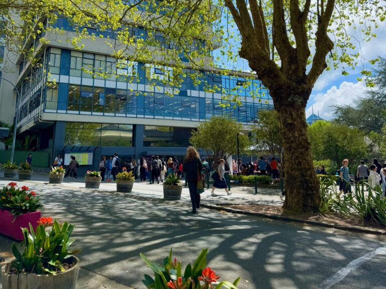 POLL: Should university students have to take a compulsory course on the Māori worldview?