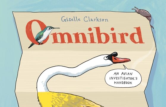 What we’re reading: The best of new book releases