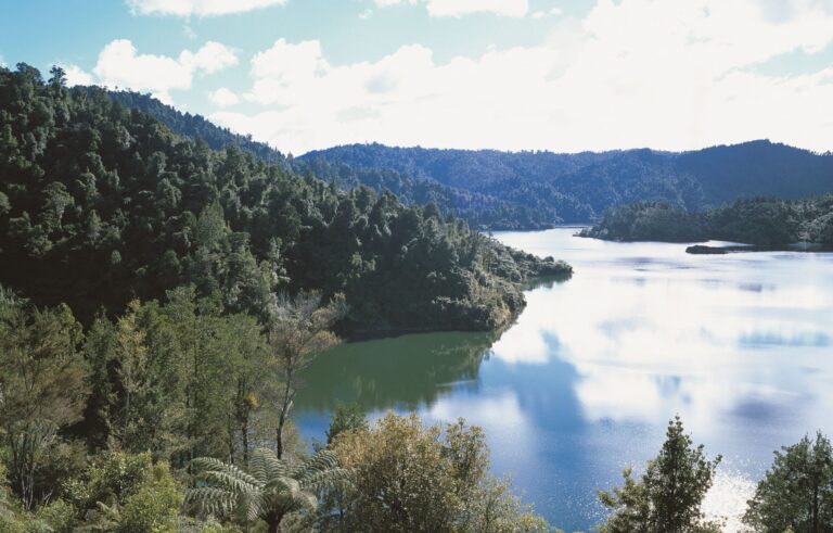 Auckland regional park reopens following pest-control action