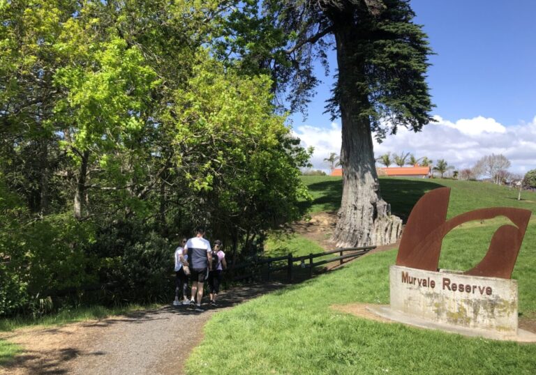 Exploring Murvale Reserve’s native bush