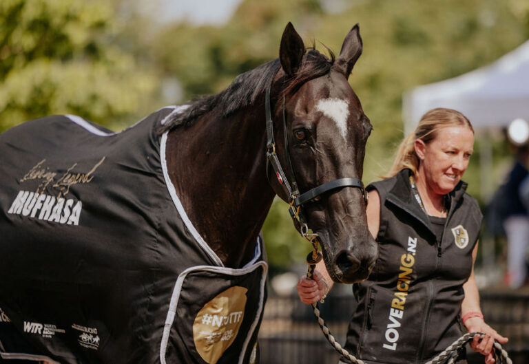 Thoroughbred horse racing industry opens gates