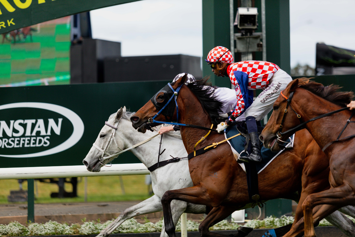 WIN! Double pass to ‘The Knock Off’ on Trades’ Day