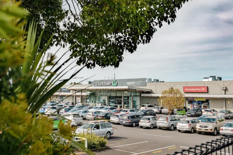 Happy New Year from Meadowlands Shopping Centre